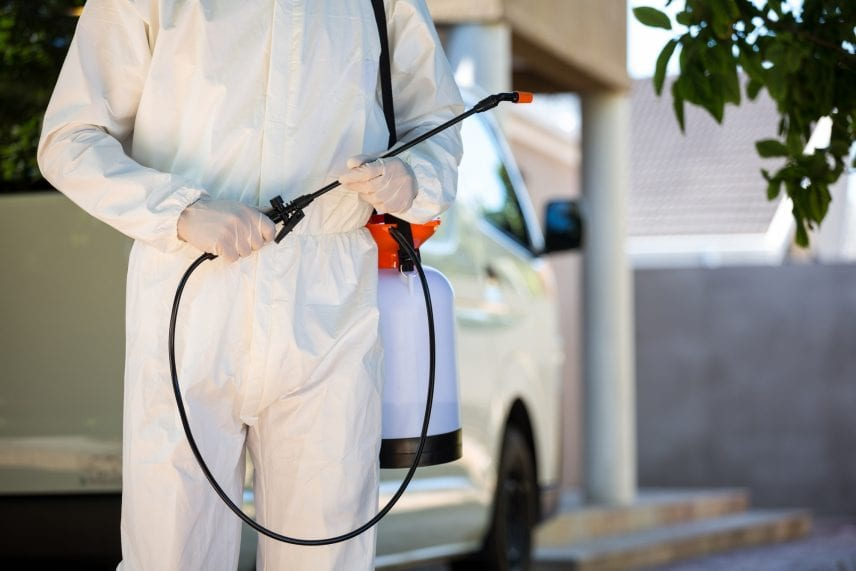 Things To Know Before Hiring A Competent Professional Pest Control Service Company