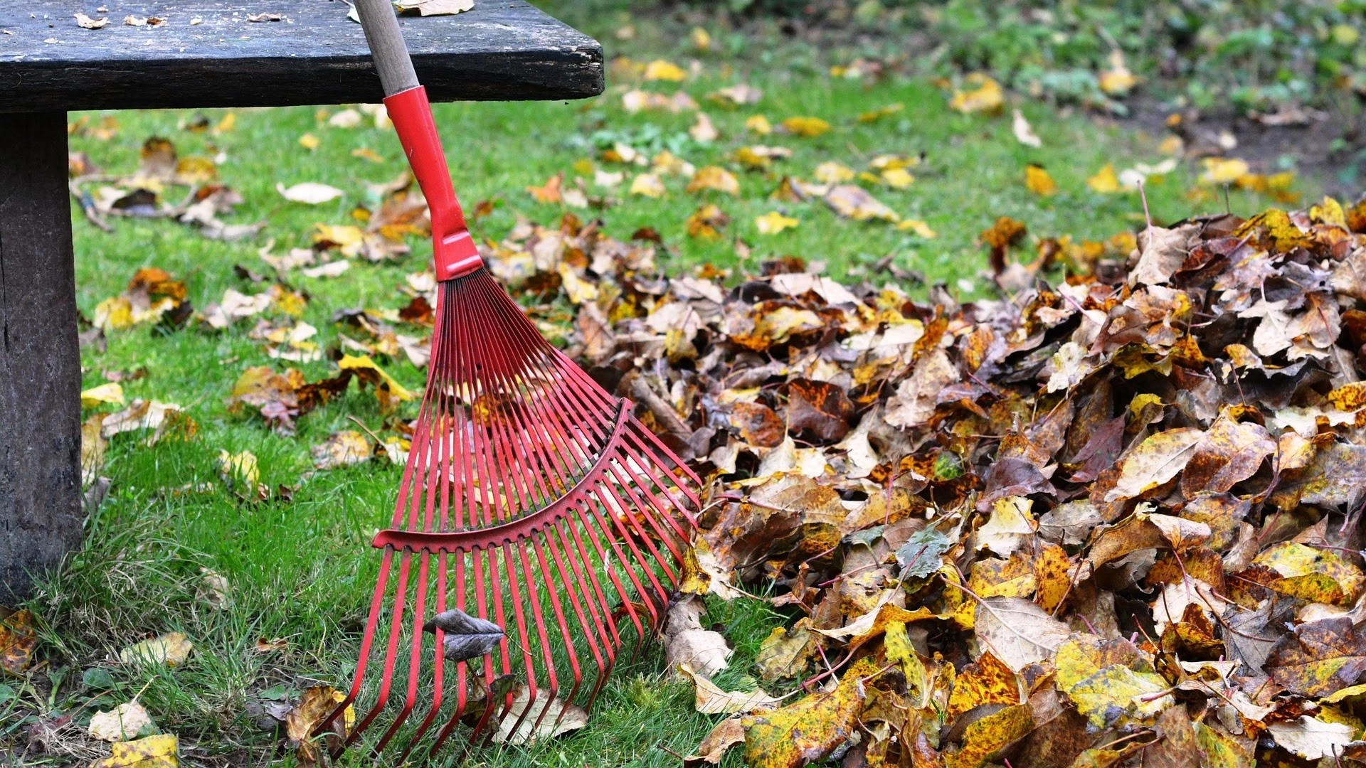 Five Must-Have Garden Accessories For The Autumn