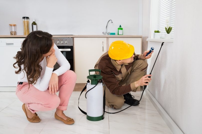 Planning to shift to a new home? Go for residential pest control services!