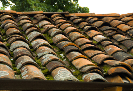 Extend Your Roof’s Lifespan with These 5 Tips