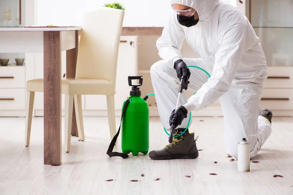 Pest Control in Dallas: Preventing Pests from Making Your Dallas House their Home