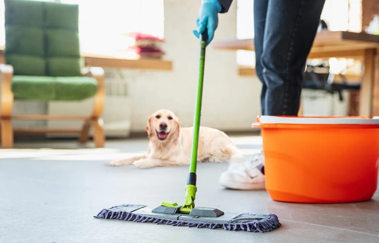 The Ultimate Guide to Pet-Friendly Home Cleaning