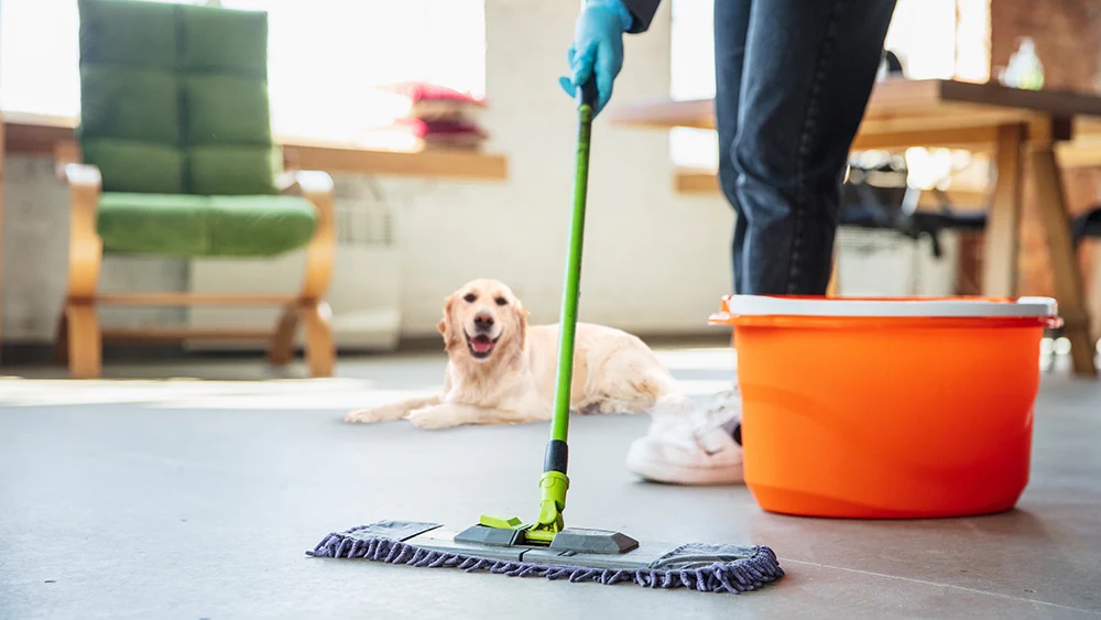 The Ultimate Guide to Pet-Friendly Home Cleaning