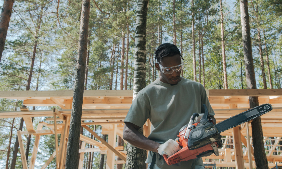 Expert Tree Arborist Services in Gold Coast for Healthy, Vibrant Trees