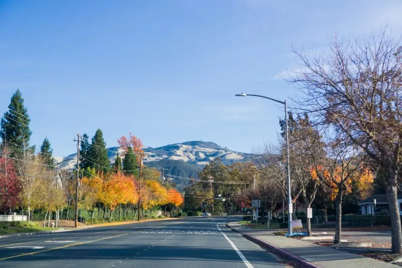 Moving to Danville, CA: Important Things to Know Before Your Relocation to California’s Vibrant Town